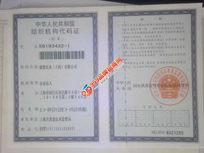 威想24小时自助洗车机 便捷高效的汽车服务新选择